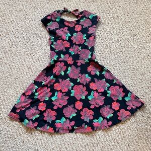 Talula Aritzia Palmetto Mini Skater Dress in Rose Floral Print Size Small